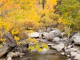 Eastern Sierra 044